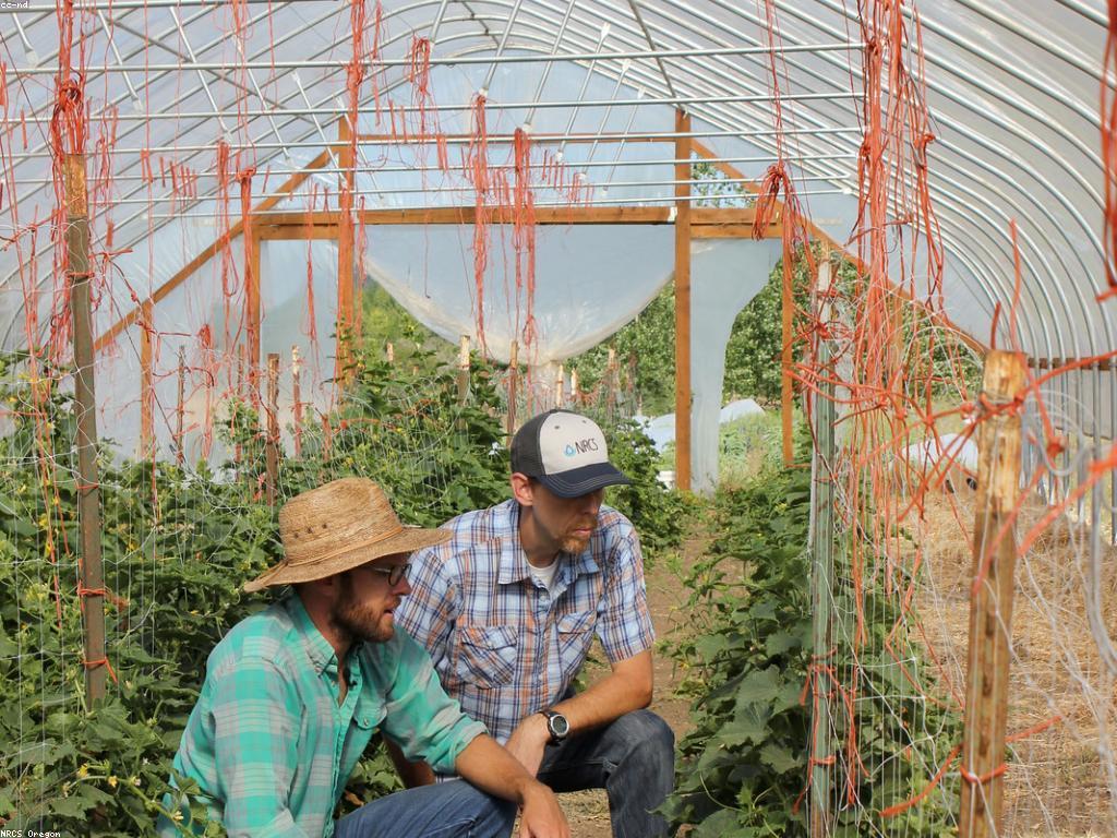 ααΆαααααΆαααααααΆαα: α’ααααααααααααα·αααΆαααααΎααααΆαα